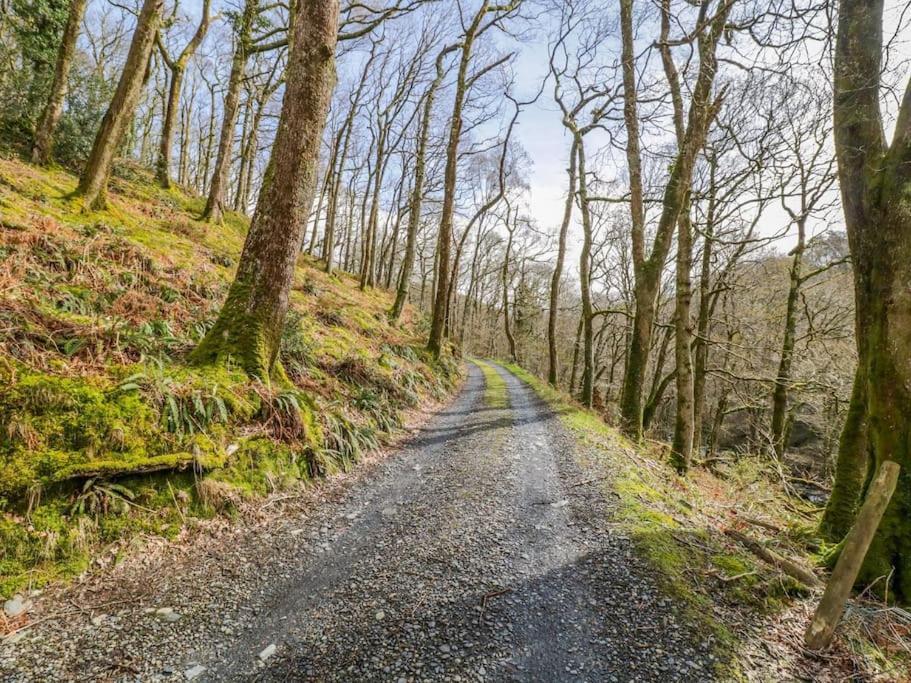 Y Cwtch - Panoramic Mountain Views Within Snowdonia'S National Park - 4X4 Recommended Βίλα Dolgellau Εξωτερικό φωτογραφία