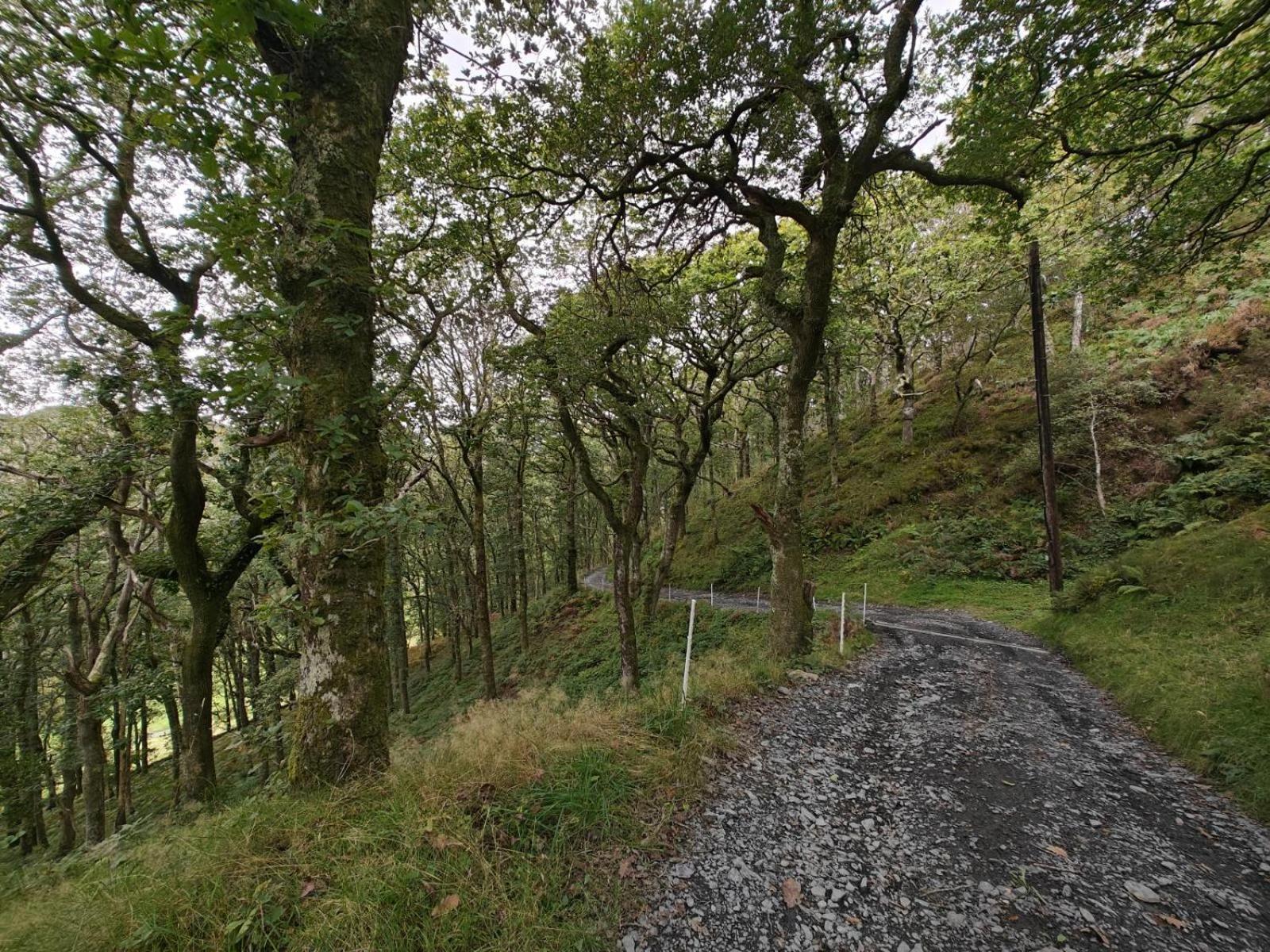 Y Cwtch - Panoramic Mountain Views Within Snowdonia'S National Park - 4X4 Recommended Βίλα Dolgellau Εξωτερικό φωτογραφία